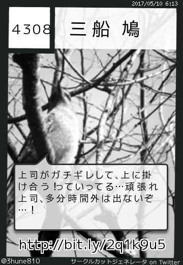 三船　鳩さんのサークルカット