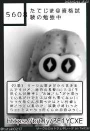 たてじま＠資格試験の勉強中さん(@tutuki0217)のサークルカット